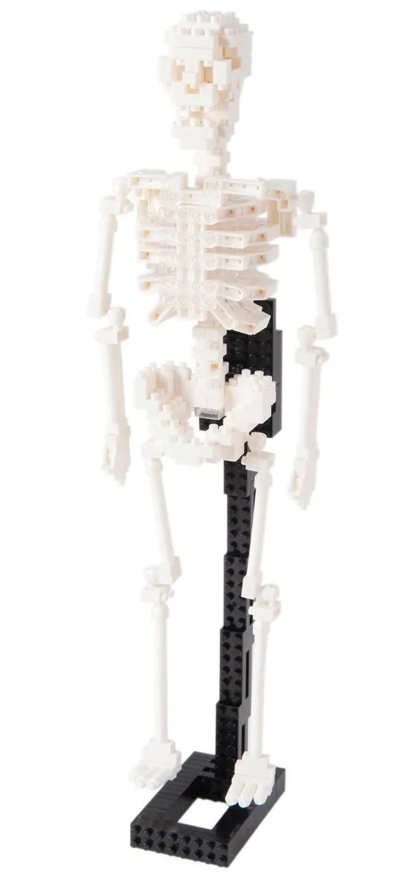 Kawada NBM-014 nanoblock Human Skeleton