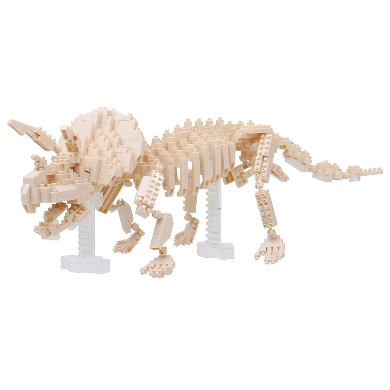Kawada NBM-017 Triceratops Seleton Model
