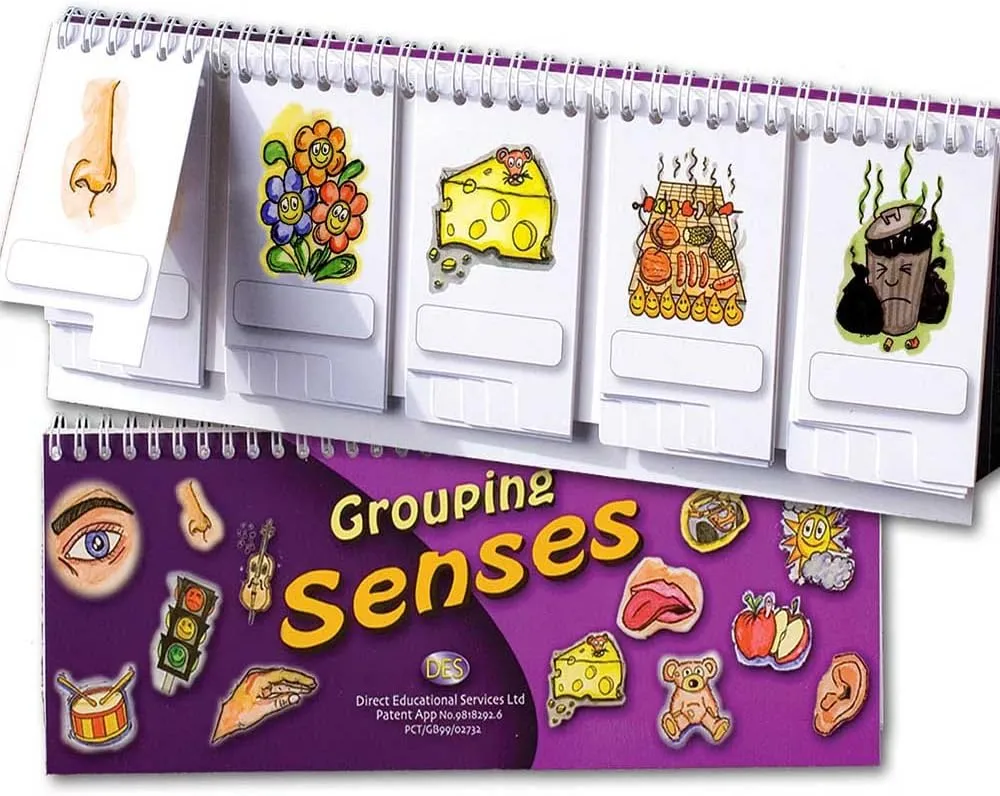 Grouping Senses flip Book