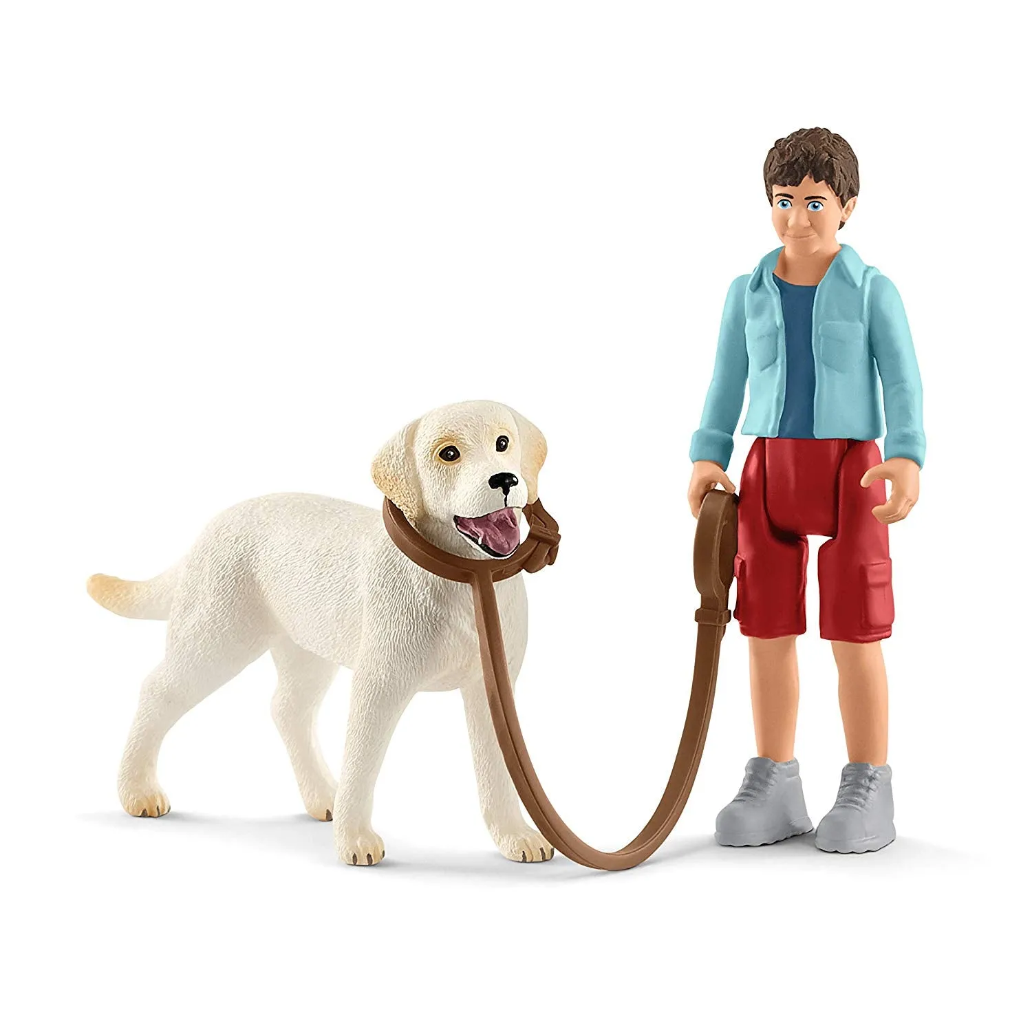 Boy and Labrador Retriever on Lead