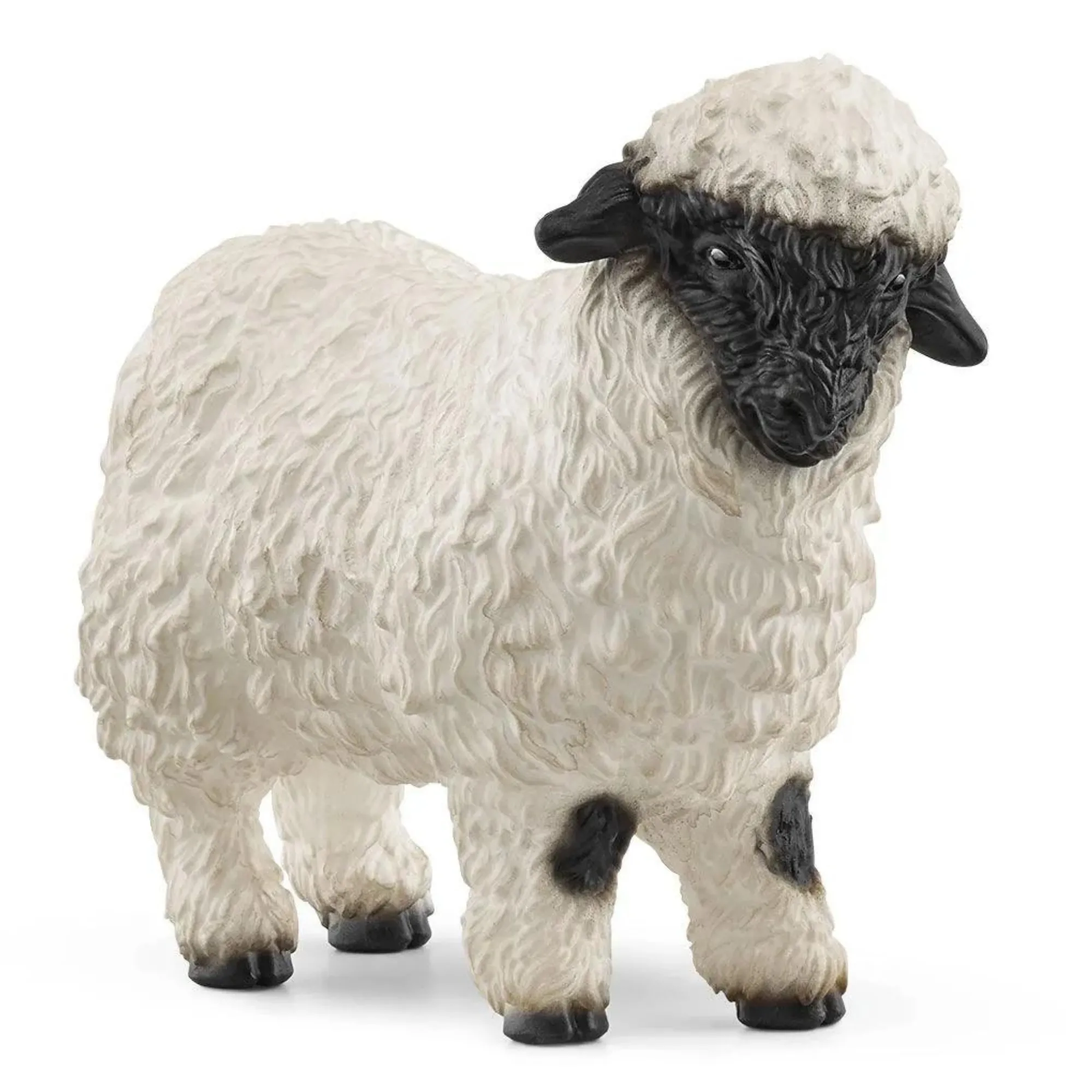 Blacknose Sheep