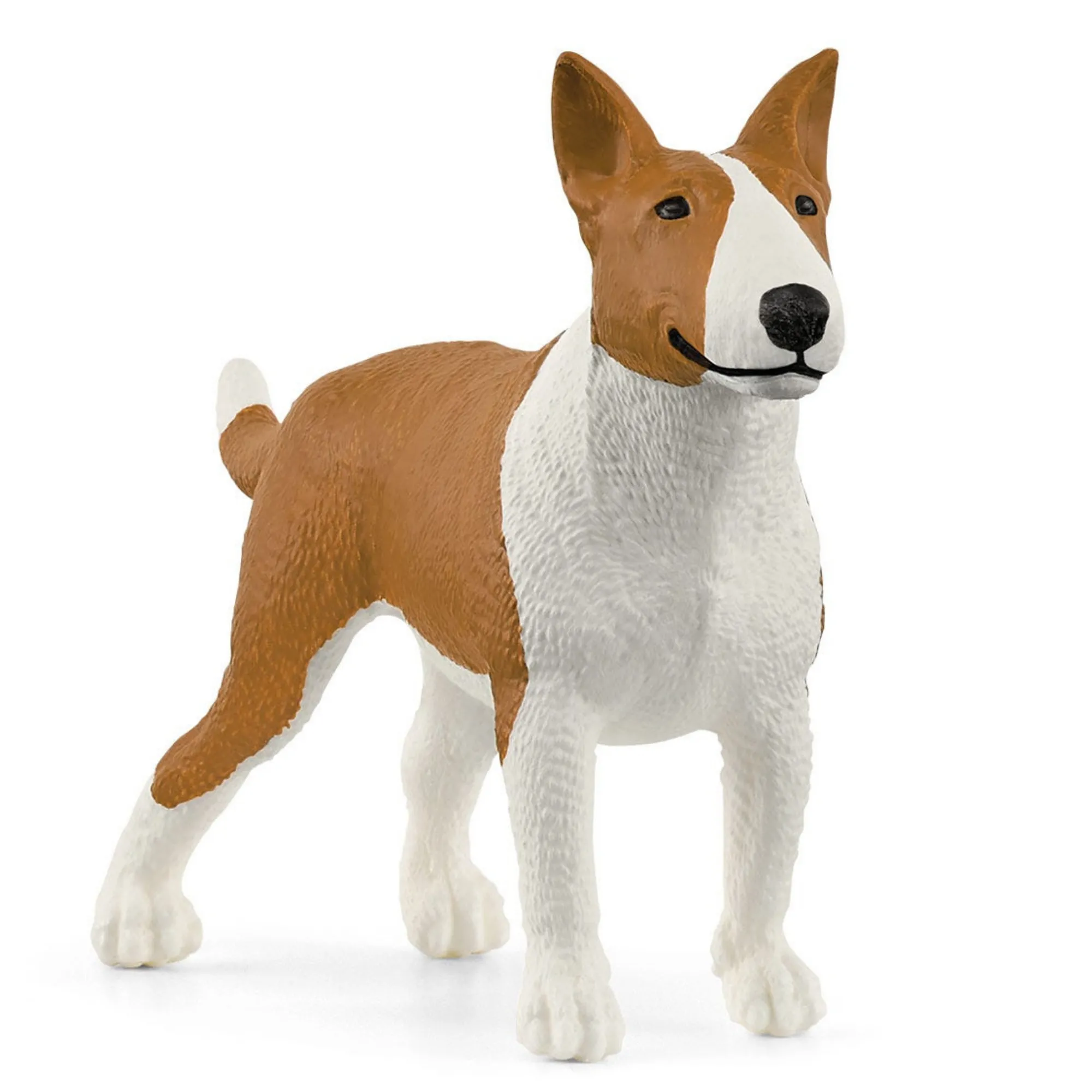 Bull Terrier
