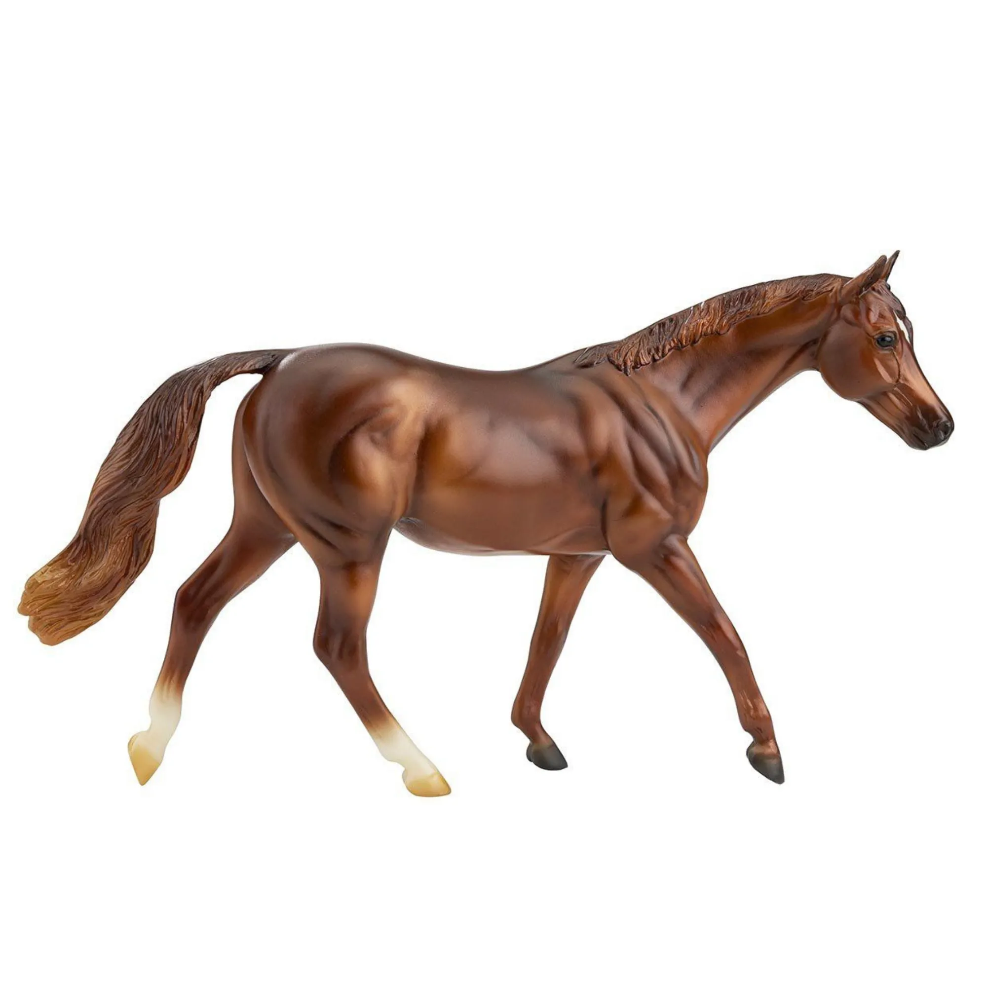 Coppery Chestnut Thoroughbred