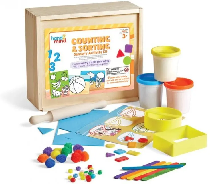 Counting & Sorting Sensory Activity Kit