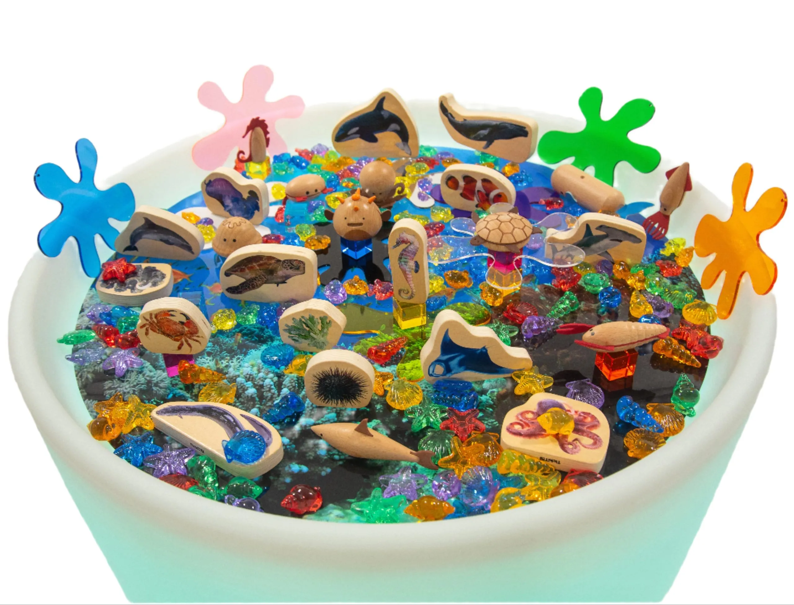 Discovery Table Sea Bundle