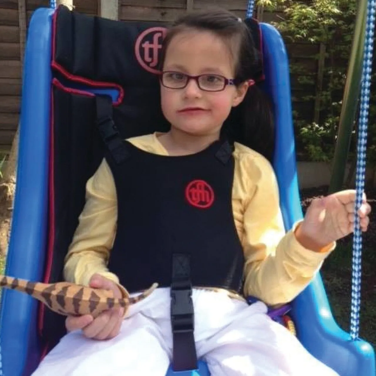 Deluxe Swing Seat Harness