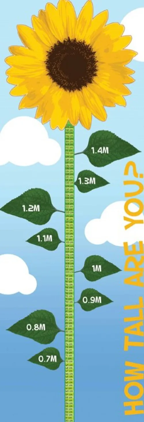 Height Chart - Sunflower Outdoor Sign