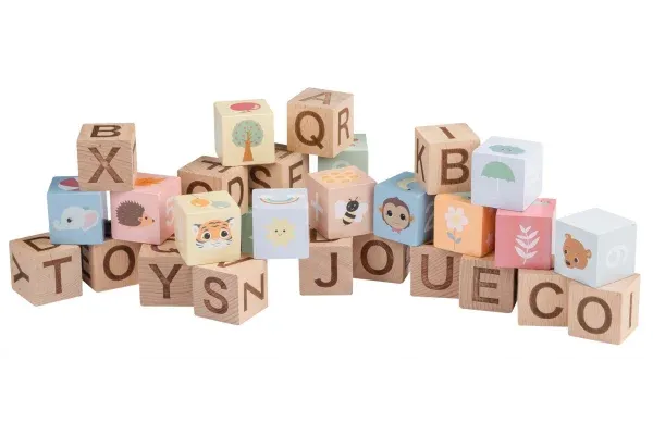 Alphabet blocks with bag
