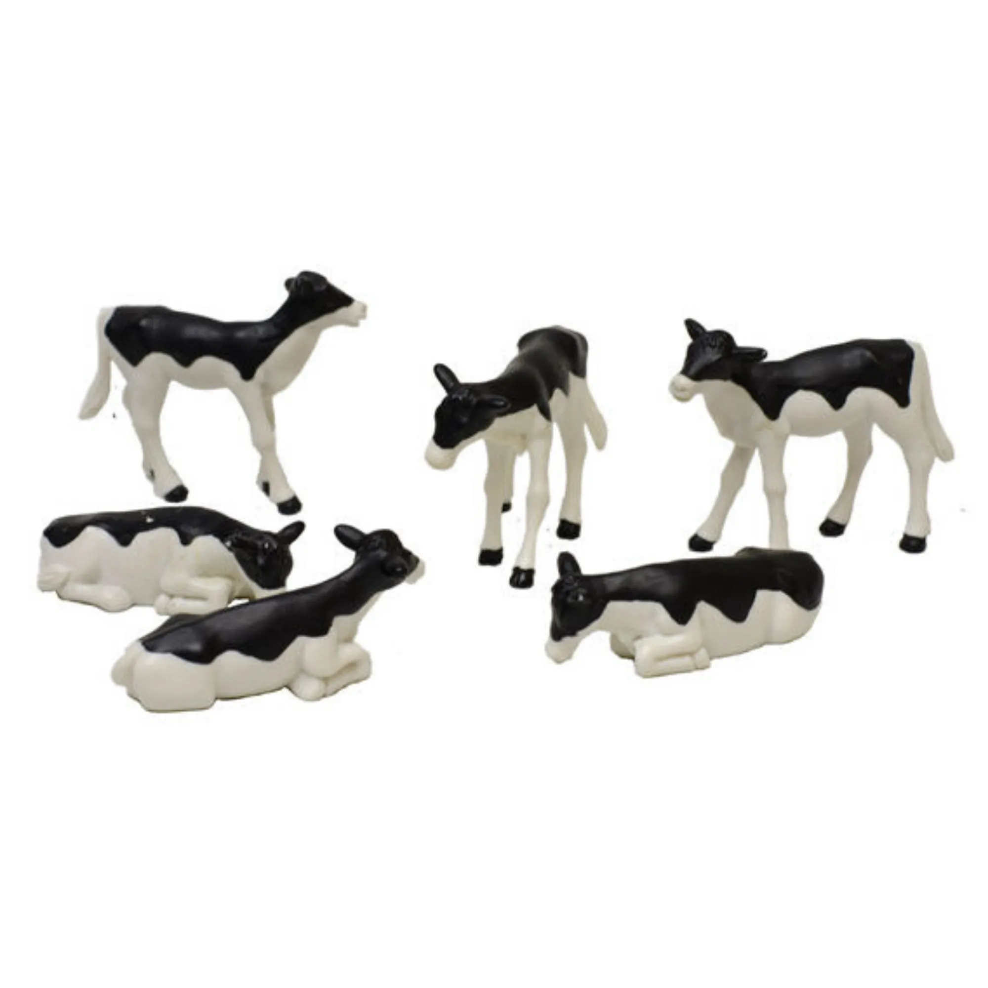 6 Black & White Standing & Lying Calves