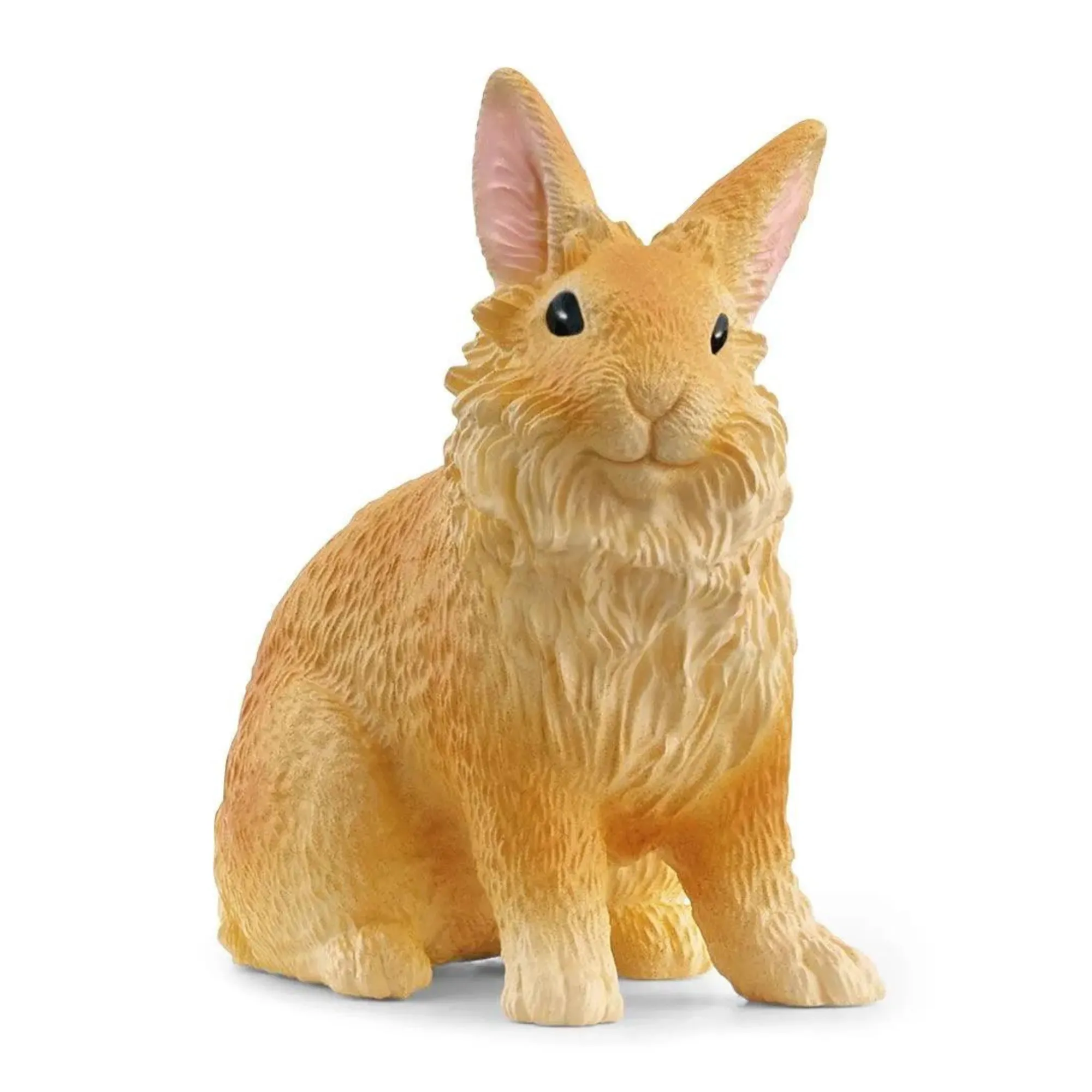 Lionhead Rabbit