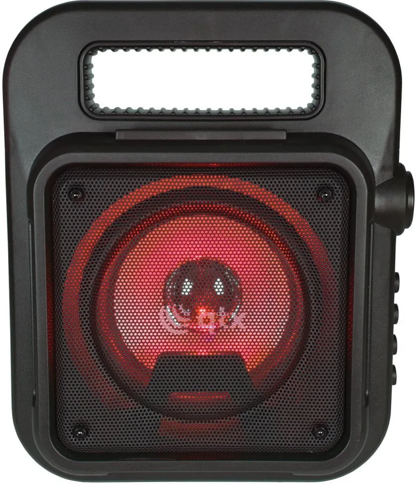 Portable Bluetooth Party Speaker with Microphone