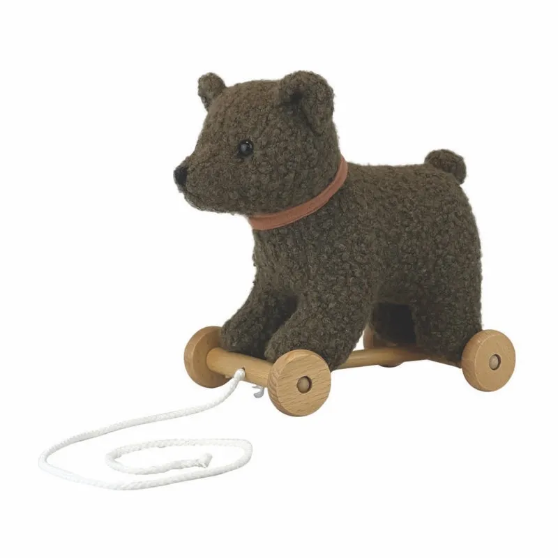 Raoul the Adventure Buddy: Pull-Along Bear Toy