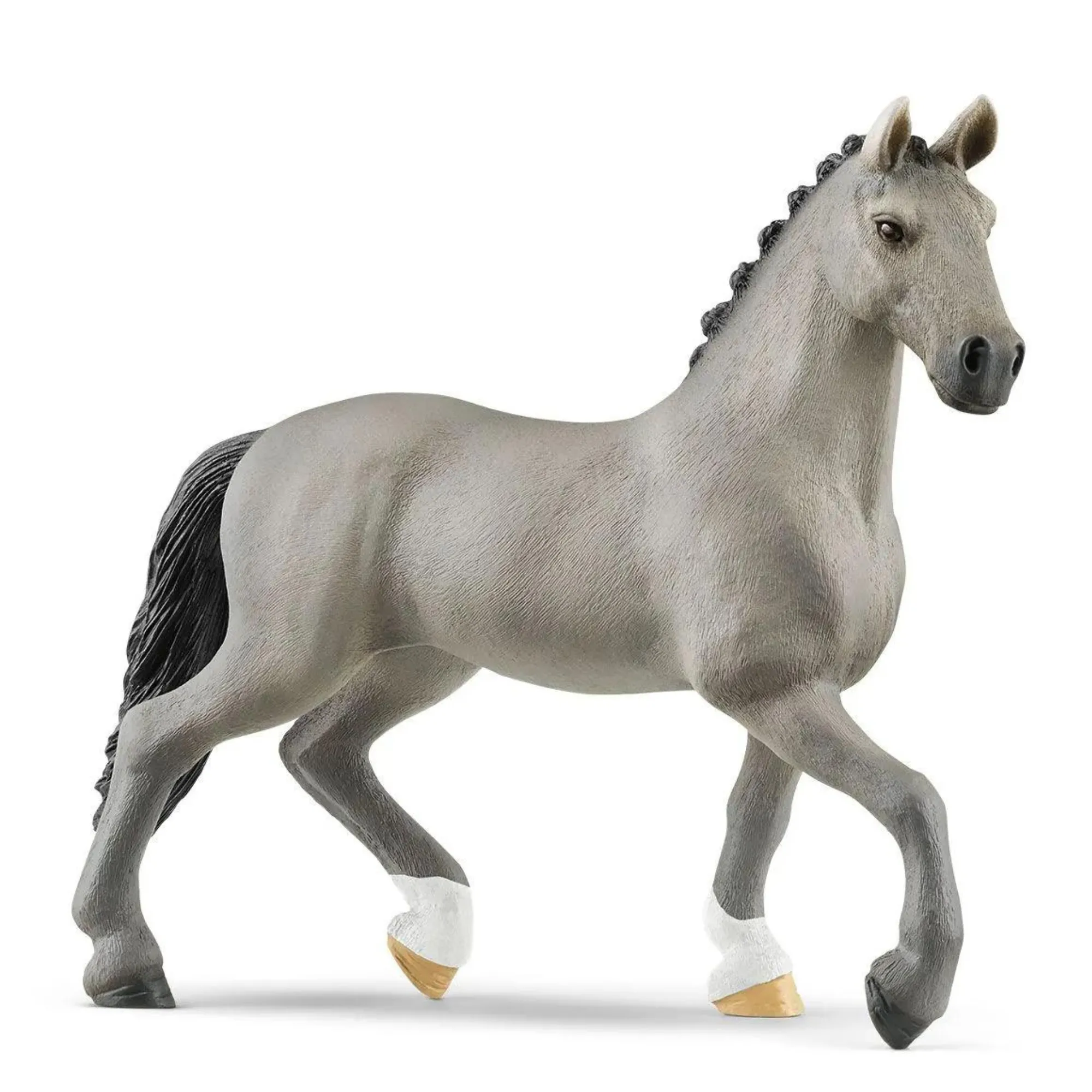 Selle Français Stallion