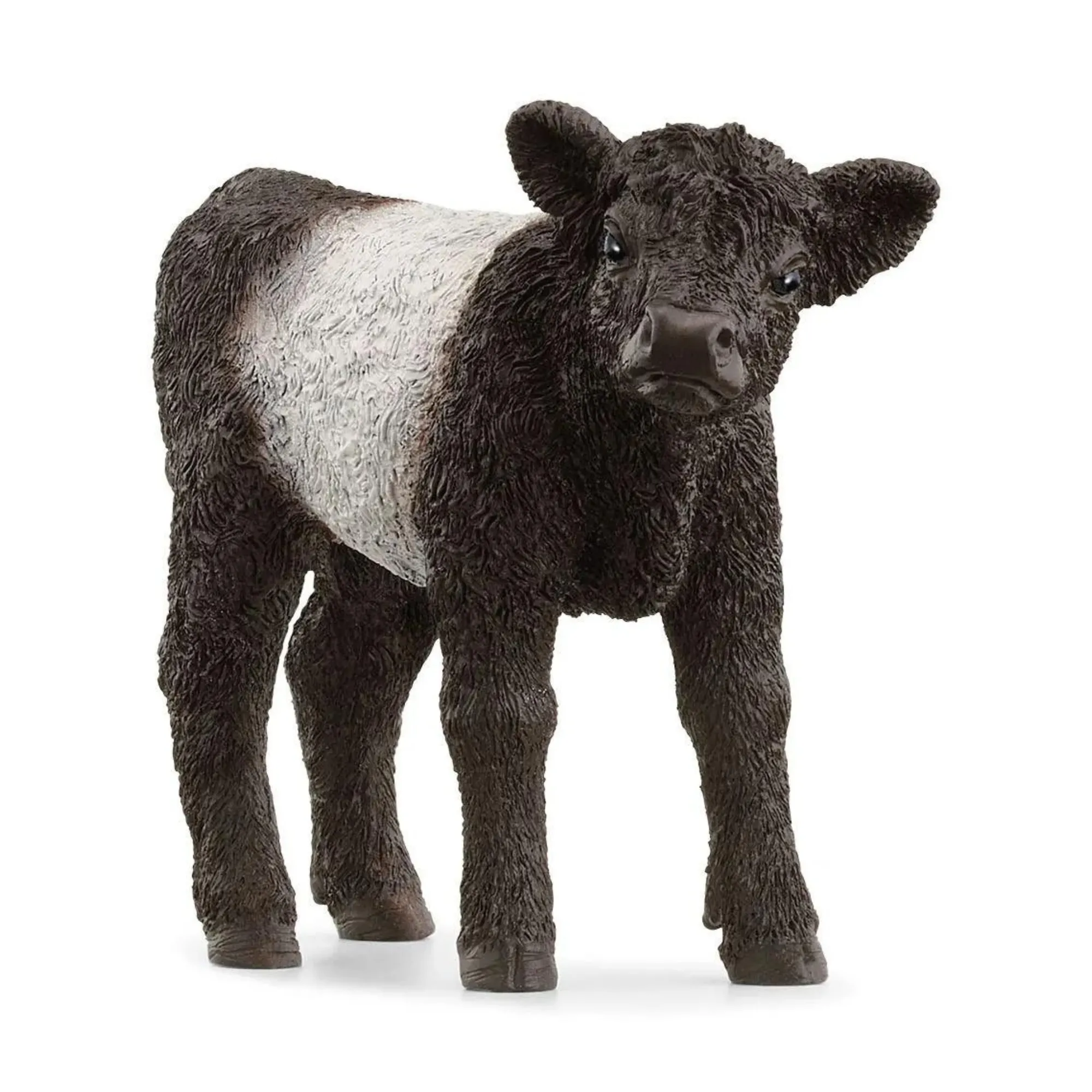 Schleich Galloway Calf