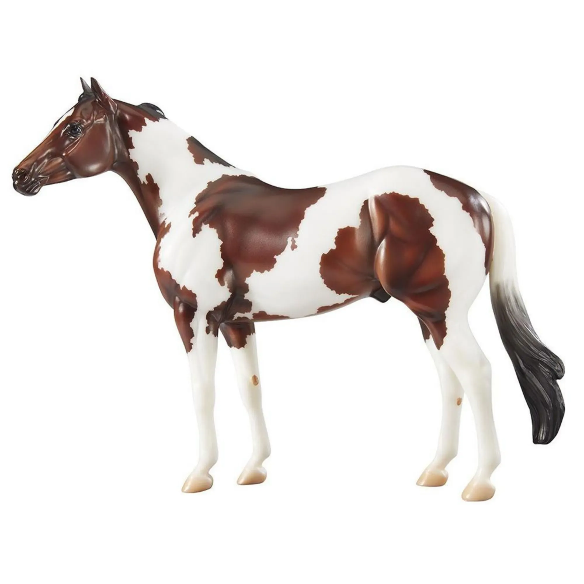 The Ideal Series Paint Horse
