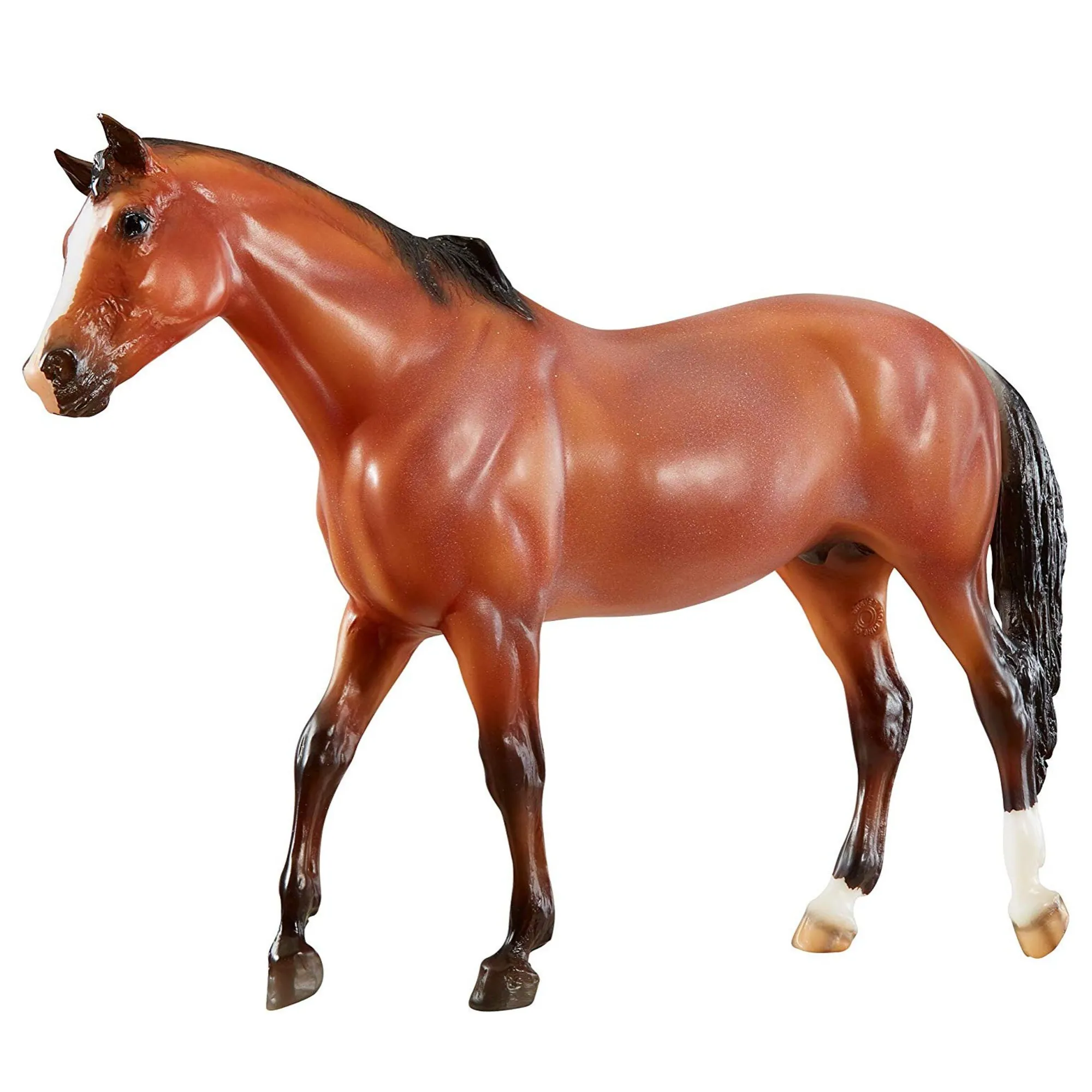 Vicki Wilson's Kentucky American Quarter Horse