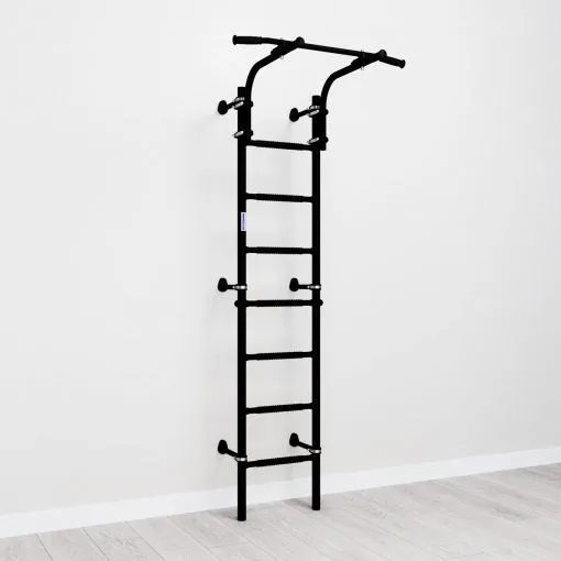 Wall Mounted Climbing Ladder