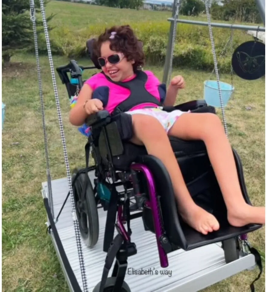 Wheelchair Platform Swing (Includes Frame)