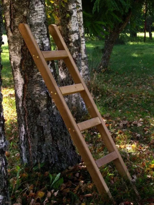 Wooden Play Ladder