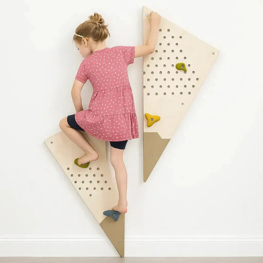 Adventure Climbing Wall