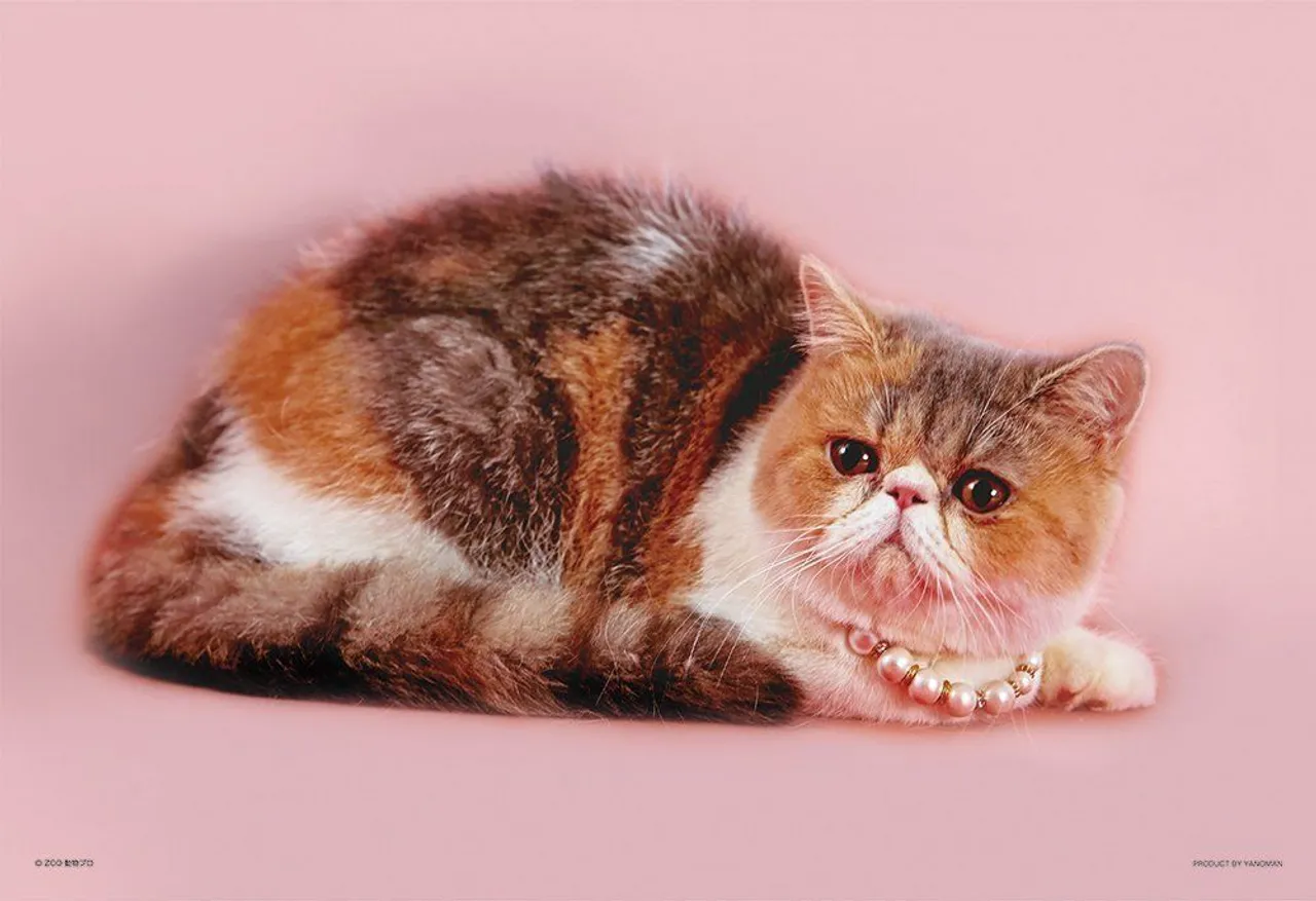 Yanoman Jigsaw Puzzle 01-2056 Busakawa Alice Osumashi (108 L-Pieces)