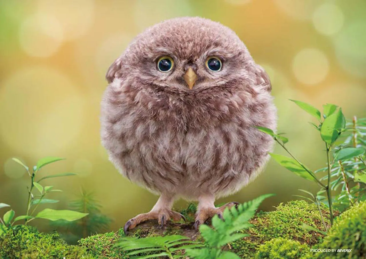 Beverly Jigsaw Puzzle P88-021 Pet Cute Round Owl (88 L-Pieces)