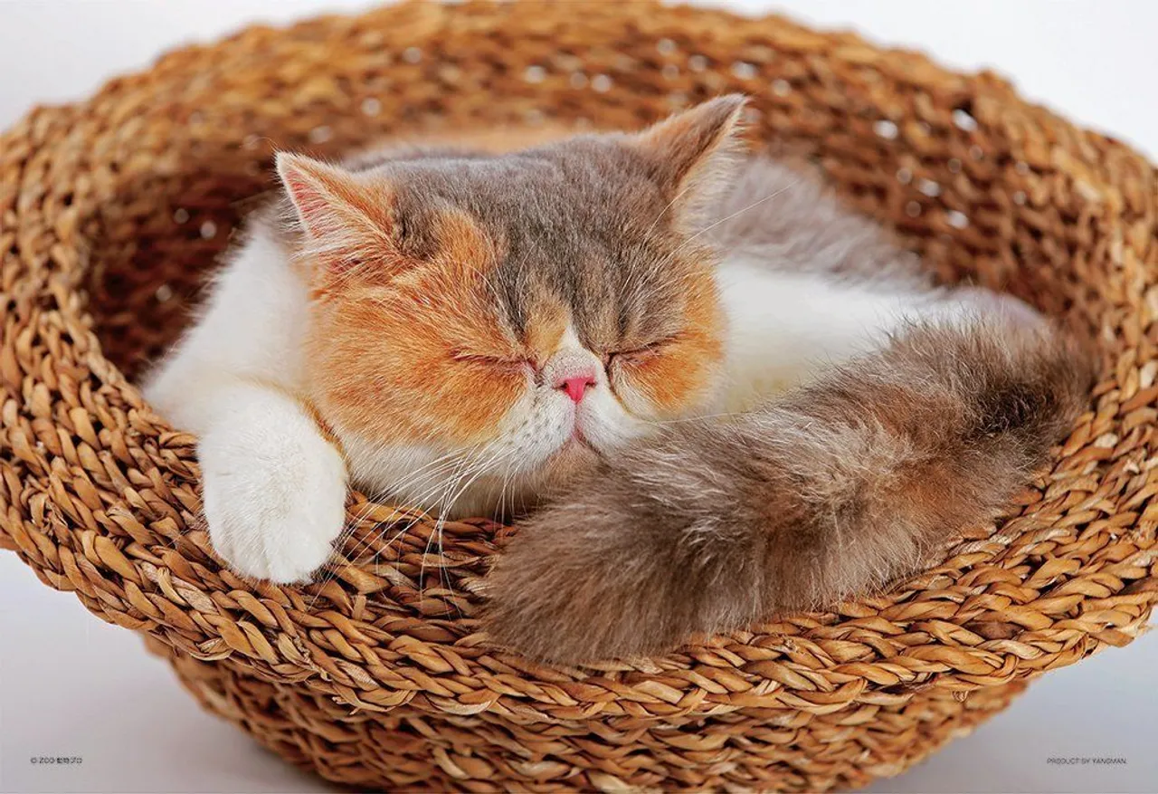 Yanoman Jigsaw Puzzle 01-2057 Busakawa Alice Sleeping (108 L-Pieces)