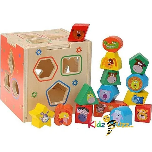 Sort & Match Toy