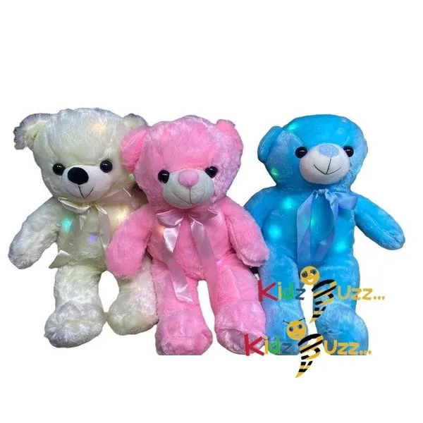 Teddy Bear W/Light