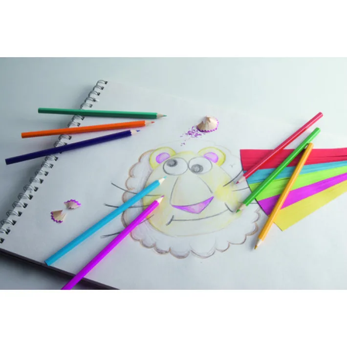 12pcs Colouring Pencil Set for Kids: Inspire Creativity with Vibrant Colors and Durable Quality with Colour Pencil